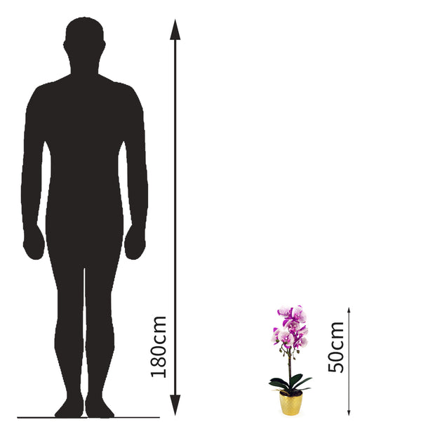 25-50cm Tall