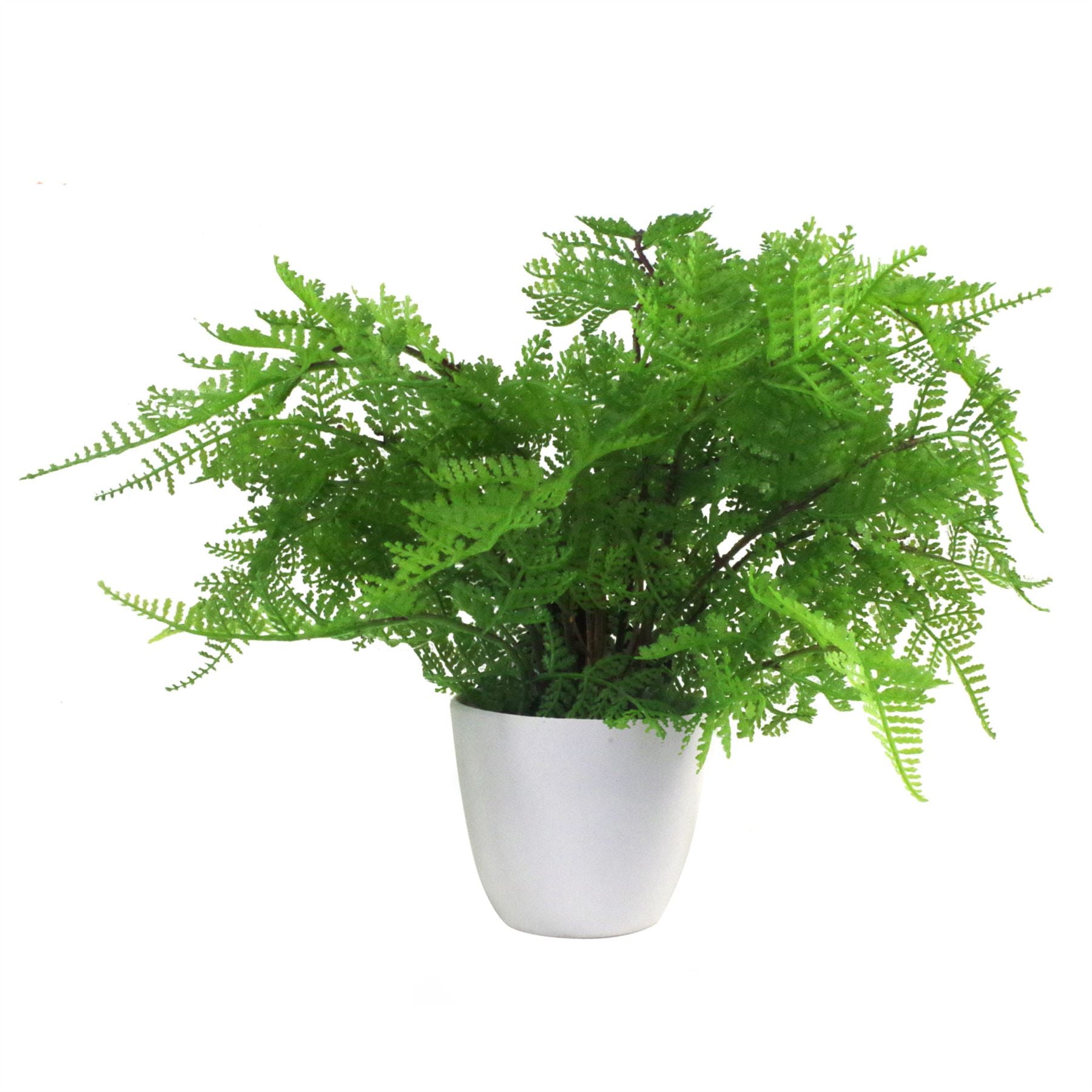 Faux 30cm Potted Lady Fern (Athyrium Filix-Femina)