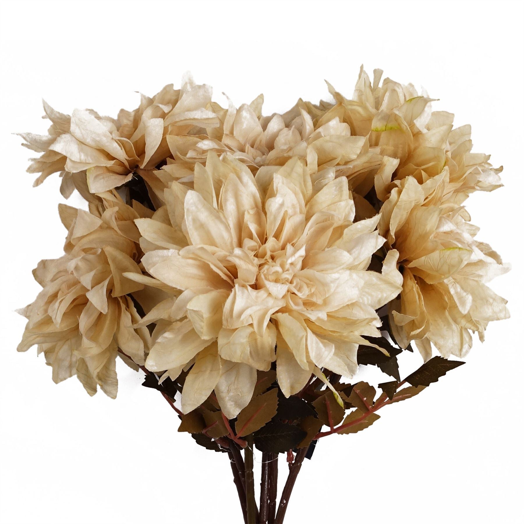 Pack of 6 x 55cm Dahlia Flower Stem - Dusty Cream - Premium Quality