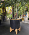 Bamboo Plant Pot Stand