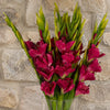 Pack of 6 x 115cm Artificial Pink Gladioli Stem - Premium Quality