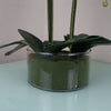 Artificial Orchid with Glass Planter - Pink