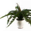 Artificial Fern Bush in Decorative Planter