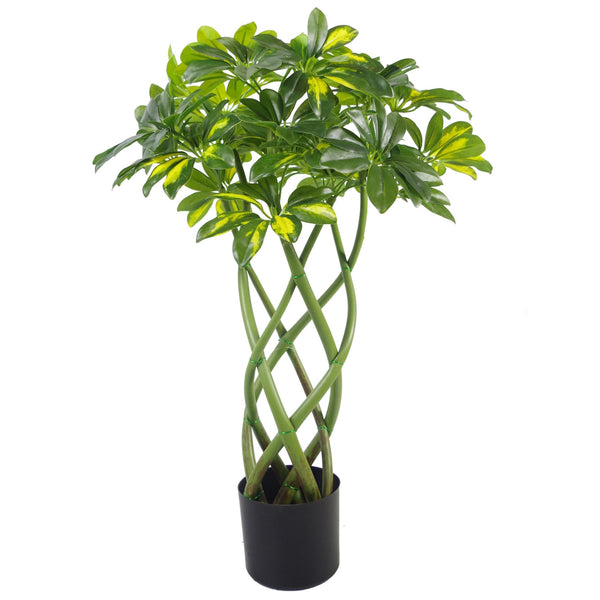 70cm Artificial Twisted Stem Gold Arboricola