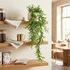 Artificial Staghorn Fern Botanik