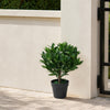 50cm Leaf Design UK Artificial Realistic Bay Laurel Topiary Ball Tree