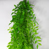 6 x 100cm Hanging String of Pearls Fern Plant Light Green - Premium Quality