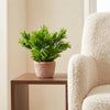 Artificial Plant Terracotta Pot Honey Shrub