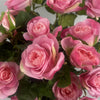 Botanik 60cm Rose Bush Pink Silk Flowers and Leaves