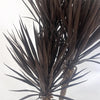 Artificial Yukka Tree Plant Spiky UV Resistant Outdoor Tree Triple Dark Red and Brown Botanik