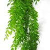 6 x 100cm Hanging String of Pearls Fern Plant Light Green - Premium Quality
