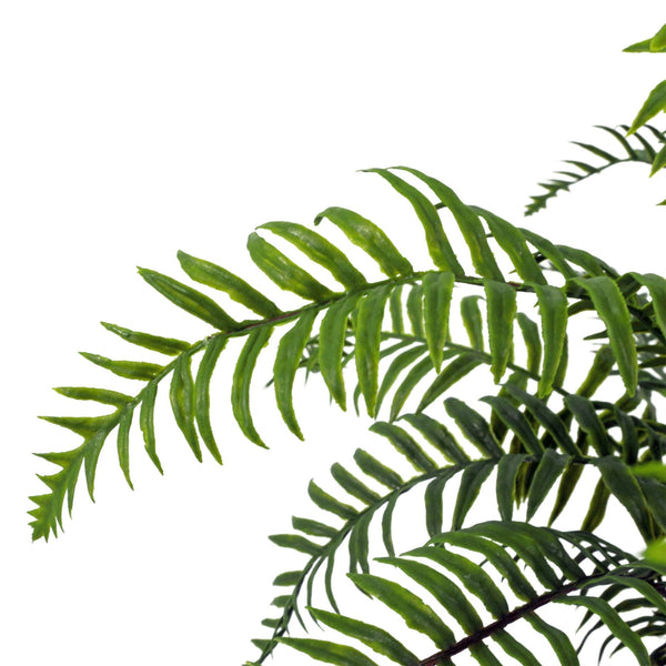 Artificial Fern Plant Realistic 50cm Artificial Boston Fronded Fern Plant Botanik