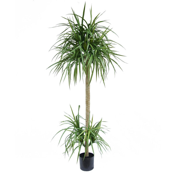 180cm Dracaena Realistic Artificial Tree - Premium Quality