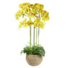 Large Orchid Artificial Yellow 41 REAL TOUCH flowers Botanik