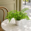 Artificial Fern Plant 30cm Forest Fern 30cm In Plant Pot