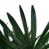 Raphis Palm Artificial Tree 100cm - Realistic plant by Botanik