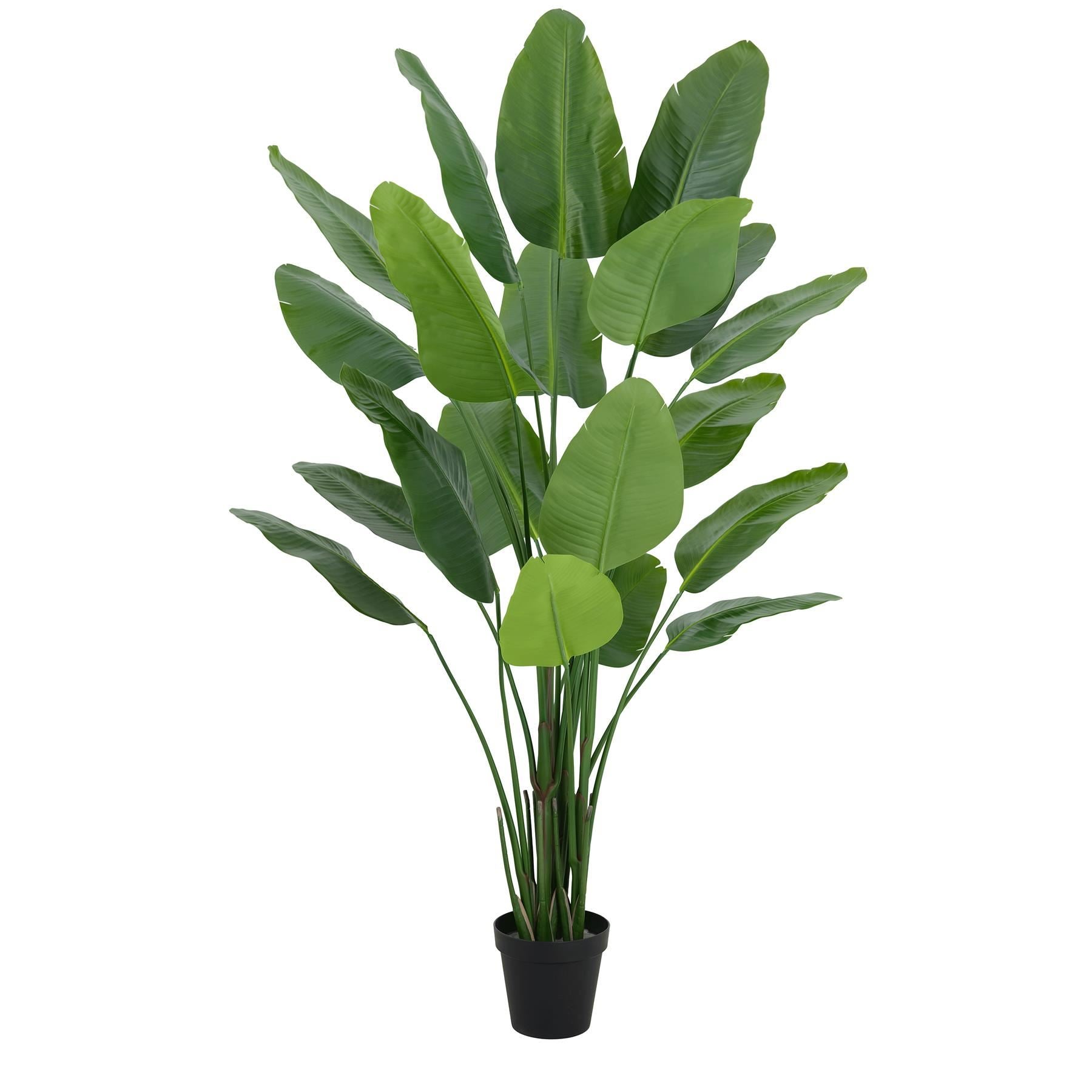 200cm Traveller Palm Artificial Tree Realistic - Premium Quality