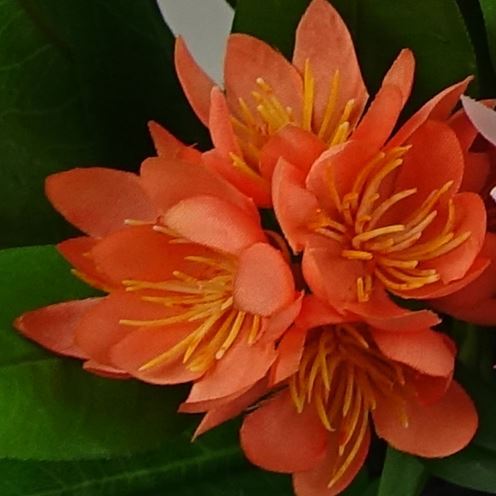 3x 18cm Artificial Freesia Plants Pink, Orange, Yellow Flowering - Premium Quality
