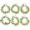 Pack of 6 x 160cm Artificial Ivy Garland Trailing Hanging Plant Faux Foliage - Variegated