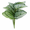 Pack of 6 x 60cm Artificial Caladium Style Stem Plant Variegated Green White Faux Foliage Arrangement