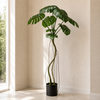 180cm Monstera Realistic Artificial Tree Green - Premium Quality