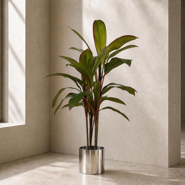 Tropical Artificial Dracaena Palm Plant Realistic Large Silver Planter 100cm Botanik