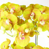 Large Orchid Lime Yellow - 41 REAL TOUCH flowers