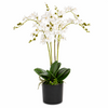 60cm Artificial Luxury Orchid - Triple Stem - White Realistic Plant