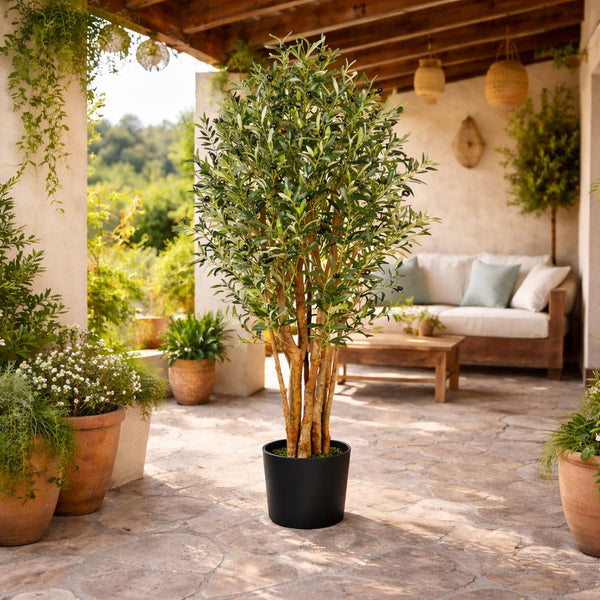 Artificial Olive Tree in Black Plastic Pot Olive Trunk