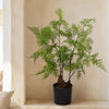 Artificial Fern Tree Plant Natural Moss 60cm 2ft Leaf Trees Realistic Plant Botanik