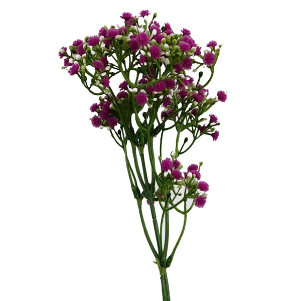Pack of 6 x 55cm Gypsophila Pink Stem - Premium Quality