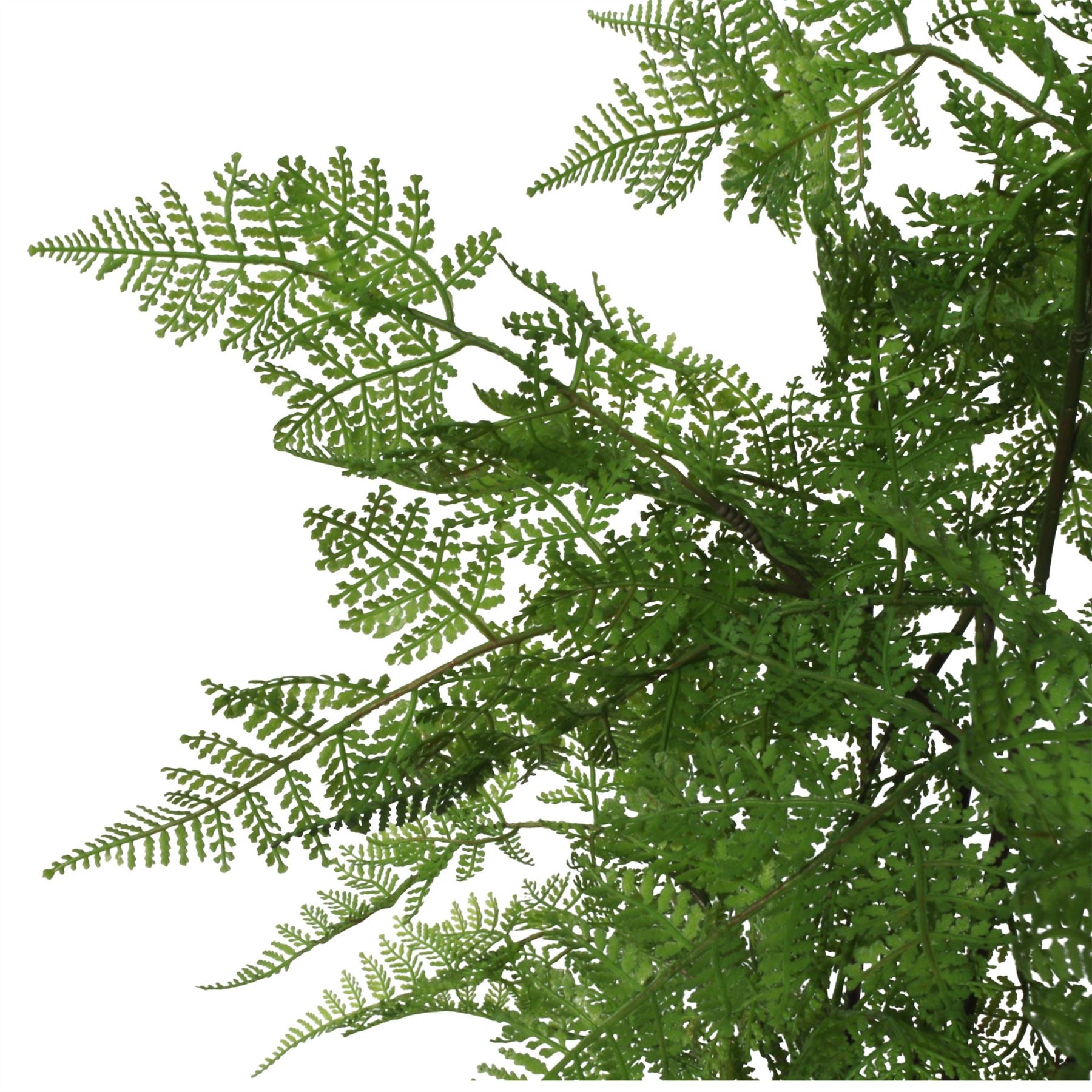 Artificial Fern Plant Tree 90cm Fern