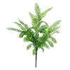 6 x 55cm Himilayan Maidenhair Fern Bush Light Green Plant - Premium Quality