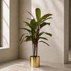 Tropical Artificial Dracaena Palm Plant Realistic Large Gold Planter 100cm Botanik