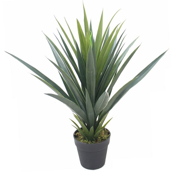 Artificial Yukka Tropical Plant 60cm Agave Spiky Tropical House Plants Botanik