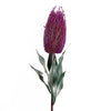 Pack of 6 x 75cm Banksia Menziesii Pink Flower Stem Artificial