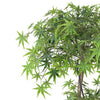 150cm Artificial Japanese Maple Tree Green