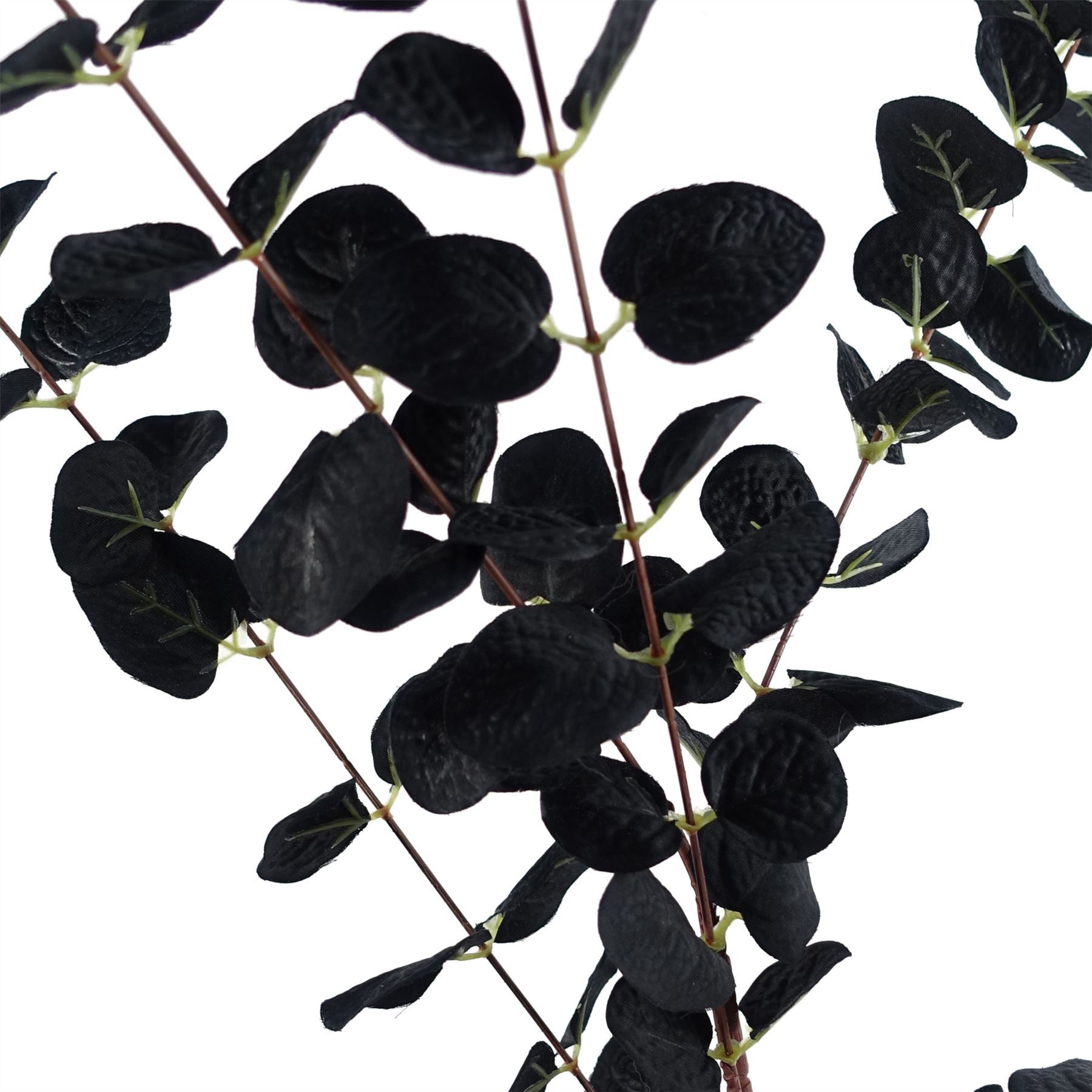 Pack of 6 x 80cm Black Eucalyptus Foliage Stem - Premium Quality