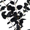 Pack of 6 x 80cm Black Eucalyptus Foliage Stem - Premium Quality