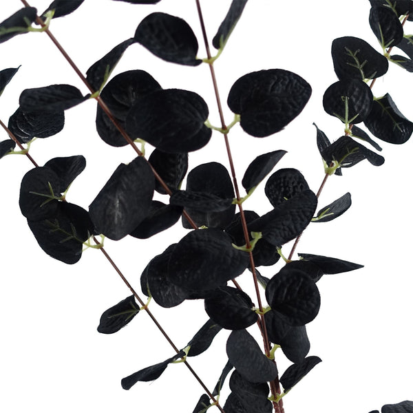 Pack of 6 x 80cm Black Eucalyptus Foliage Stem - Premium Quality