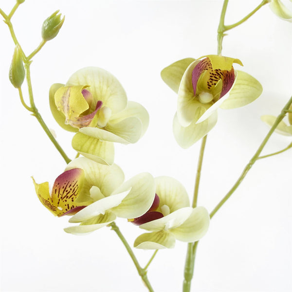 Pack of 6 x Artificial Flowers Cream Mini Orchid Stem 80cm