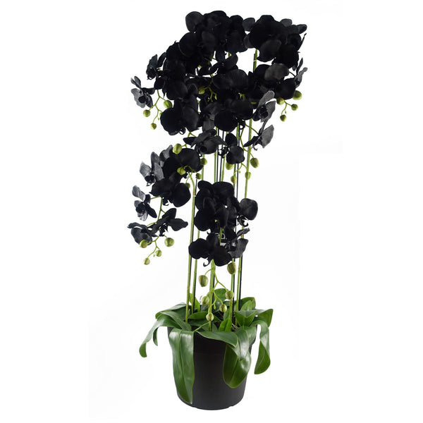 Large Black Orchid Plant Artifcial 41 REAL TOUCH flowers Botanik