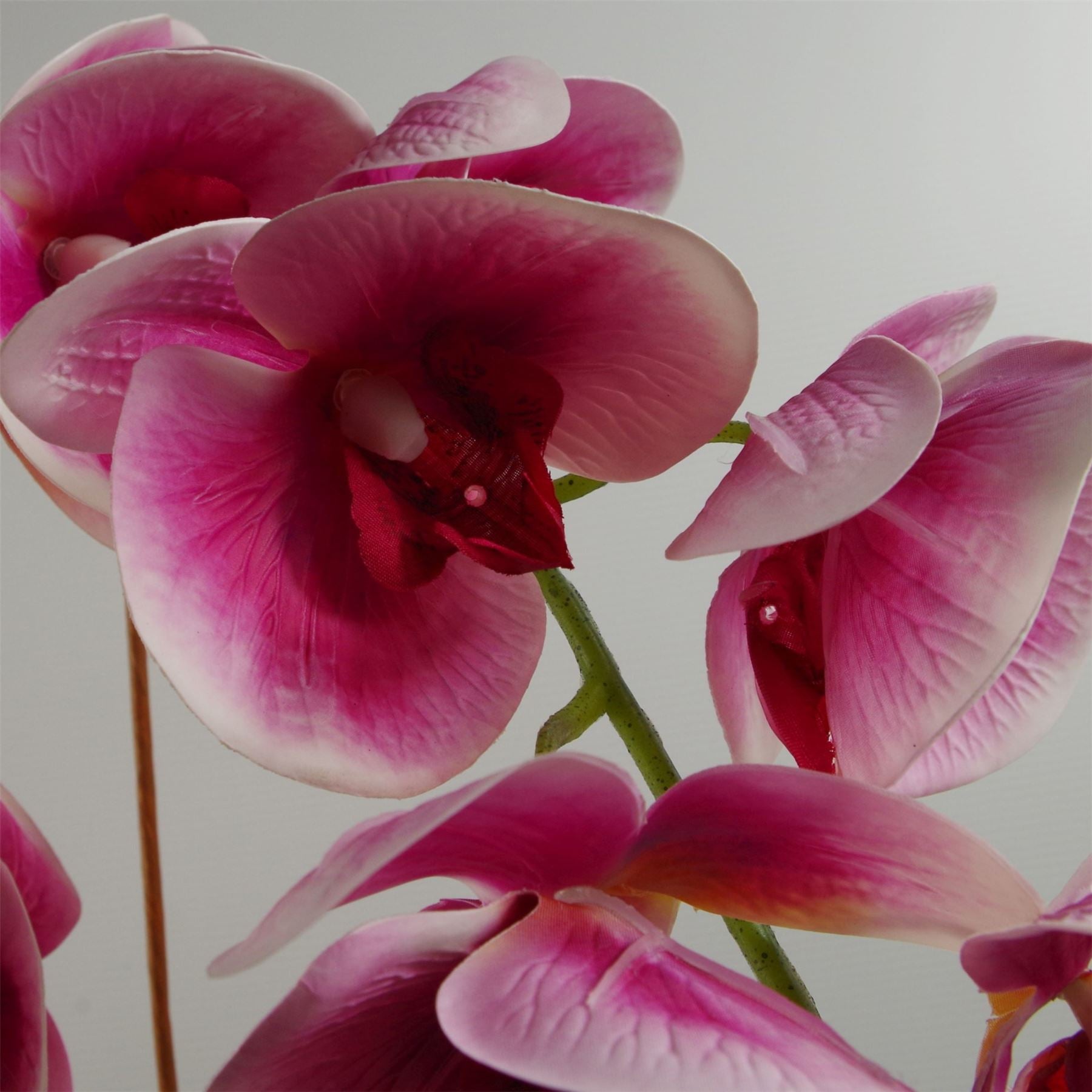 Artificial Orchid Flower Plant 70cm Dark Pink Black Ceramic Planter