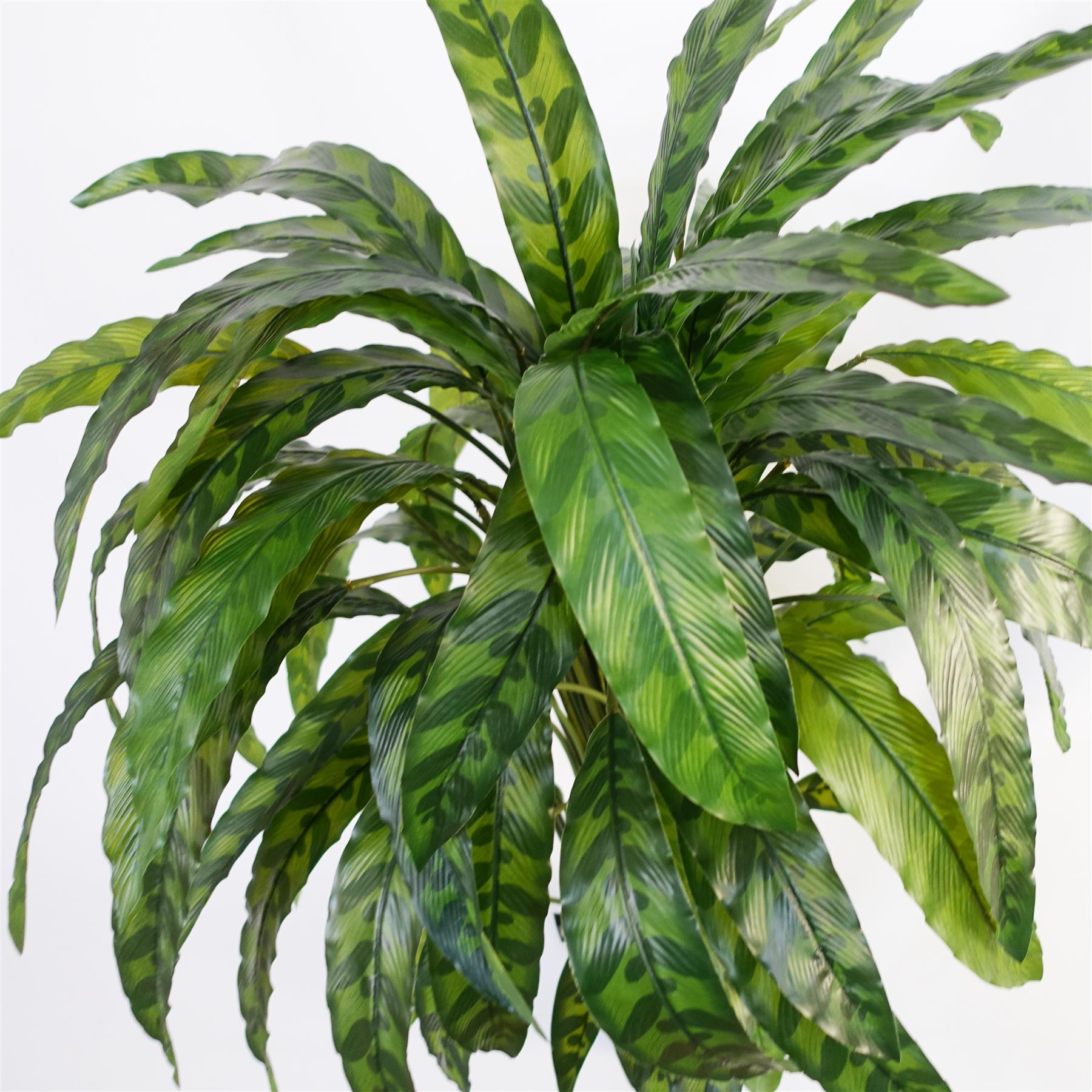 90cm Variegated Artificial Calathea Plant with pot