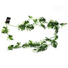 Artificial Hanging Plant Variegated Monstera Plant Pack x 6