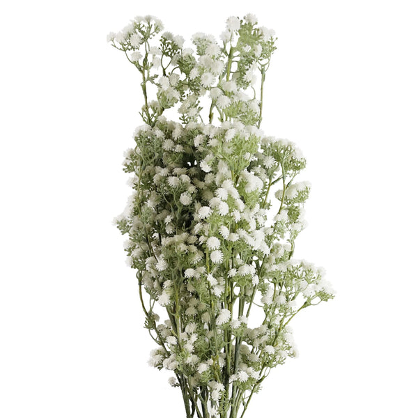 Pack of 6 x 85cm Gypsophila White Stem - Premium Quality