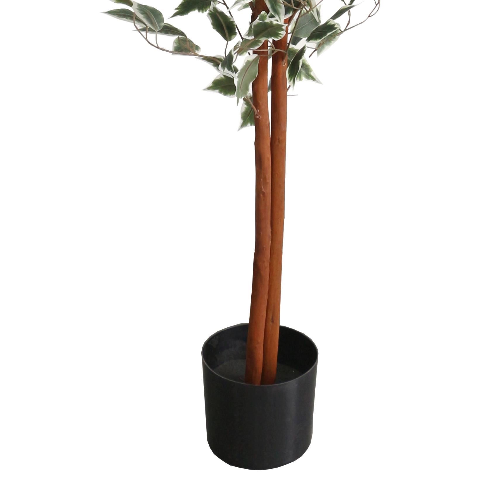 160cm Artificial Ficus with Natural Variegated Leaves - Premium Quality
