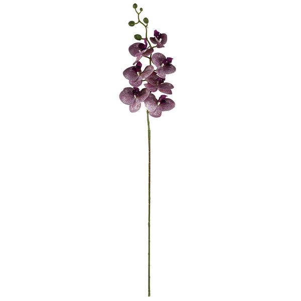 Artificial Flowers Phalaenopsis Orchid Purple Stem 100cm