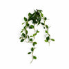 Pack of 6 x 55cm Artificial Trailing Ficus Vine Stem - Premium Quality
