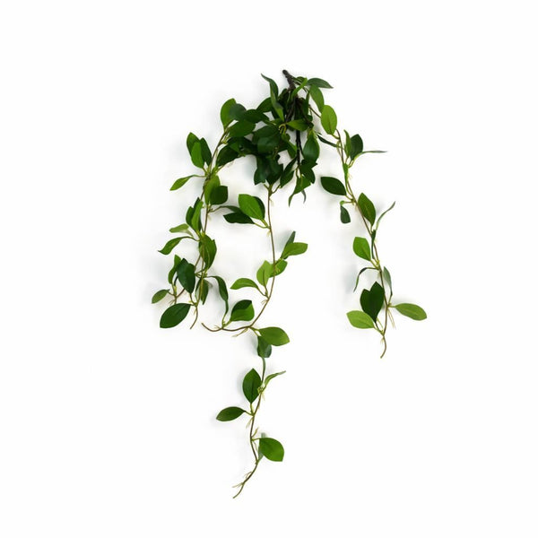 Pack of 6 x 55cm Artificial Trailing Ficus Vine Stem - Premium Quality